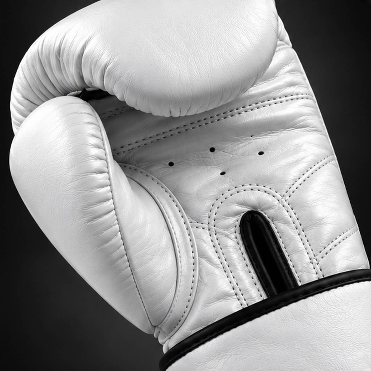 Fairtex BGV1 — Luvas de Boxe e Muay Thai