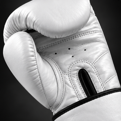 Fairtex BGV1 — Luvas de Boxe e Muay Thai